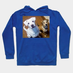 Best buddies Hoodie